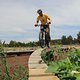 CanberraMtStromlo5