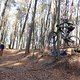 IMG 1673