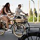 Critical Mass 1708 6985b