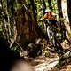 An diesem &quot;Plop&quot; passierten beim NZ Enduro Rennen in der Vergangenheit viele Stürze