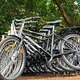 500k Buffalo Bicycles