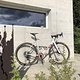 Ritchey Swiss Cross Disc 2020 (19)