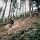 Die neue Line kombiniert Downhill-Features mit technischen Sprüngen.