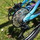 Marin Alpine Trail Carbon Fun² 2024 Custom Build
