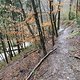 Lunch Trail Run