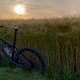IMG 20250612 205943142 HDR