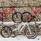 Pro-Bikes: die Arbeitsgeräte von Deutschlands Enduro-Elite