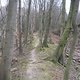 0040 Deister-Trails