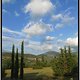 Landschaft