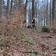 IMG 5235