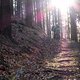 P1290496-