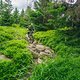 2023.06.25. Harz