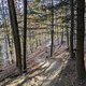 November trails 😃
