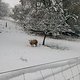 Winterpokal-Aktivität