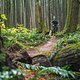 BC Squamish - Ditch Pig