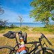 Bontrager Singlespeed 20250429 Harpking