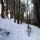 Foto0076