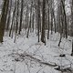 IMG 2665