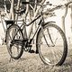 World Bicycle Relief - Buffalo Bike