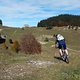 2013-10-18-Frontsteige-S153-DSCN4150