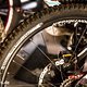 Bontrager Laufräder und Reifen komplettieren das Bike