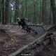 IMG 1080