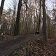 IMG 1984