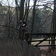 IMG 1353