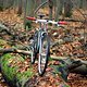 stumpjumper 1991