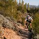 SCOTT-SRAM 2019 action picture by Margus Riga MRP 0132