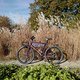 L1000044 (MTB-News)