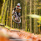 2853880-bdam9m8fprt3-img 5290-original