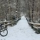 Winterpokal-Aktivität
