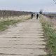 Ran an den Speck - Winterpokal-Abschlussfahrt