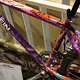 IMG 2021