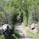 IMG 2683