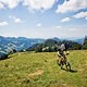 MTB Alpsee31