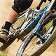 BRAAAP - im Wald war es noch nass und auf der Wiese schon wieder staubig