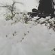 SNOWRIDE - Shred it