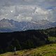 DSC01244-c