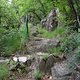 DSC09214