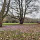 Au boulot à vélo - Offenbach - Rödelheim und retour via Grüneburgpark
