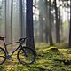 Gravel-Fahrt am Morgen
