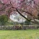 IMG 7381