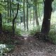 DSC00429