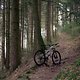 2014 Stumpjumper FSR Elite 29 03