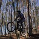 Bike Beerfelden P 314