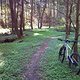 IMG935