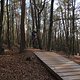 IMG 1818