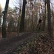 IMG 1996